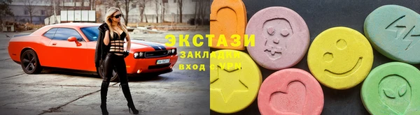 шишки Няндома
